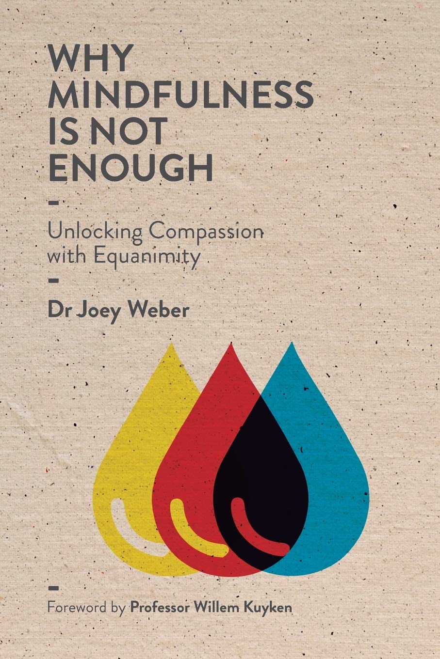 WHY MINDFULNESS IS NOT ENOUGH